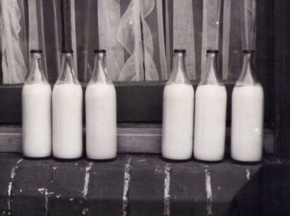 Fresh milk (1 L)